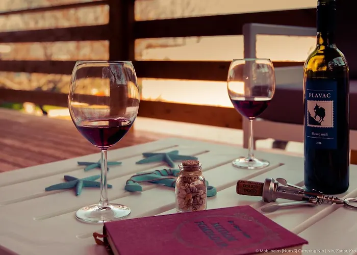 Prázdninový dům Mobilheim Mate1